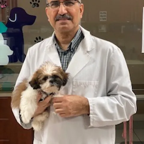 Dr. M. Azhar Chishti